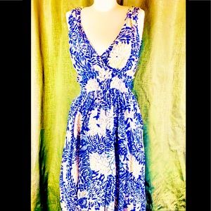 Beautiful Silk Dress